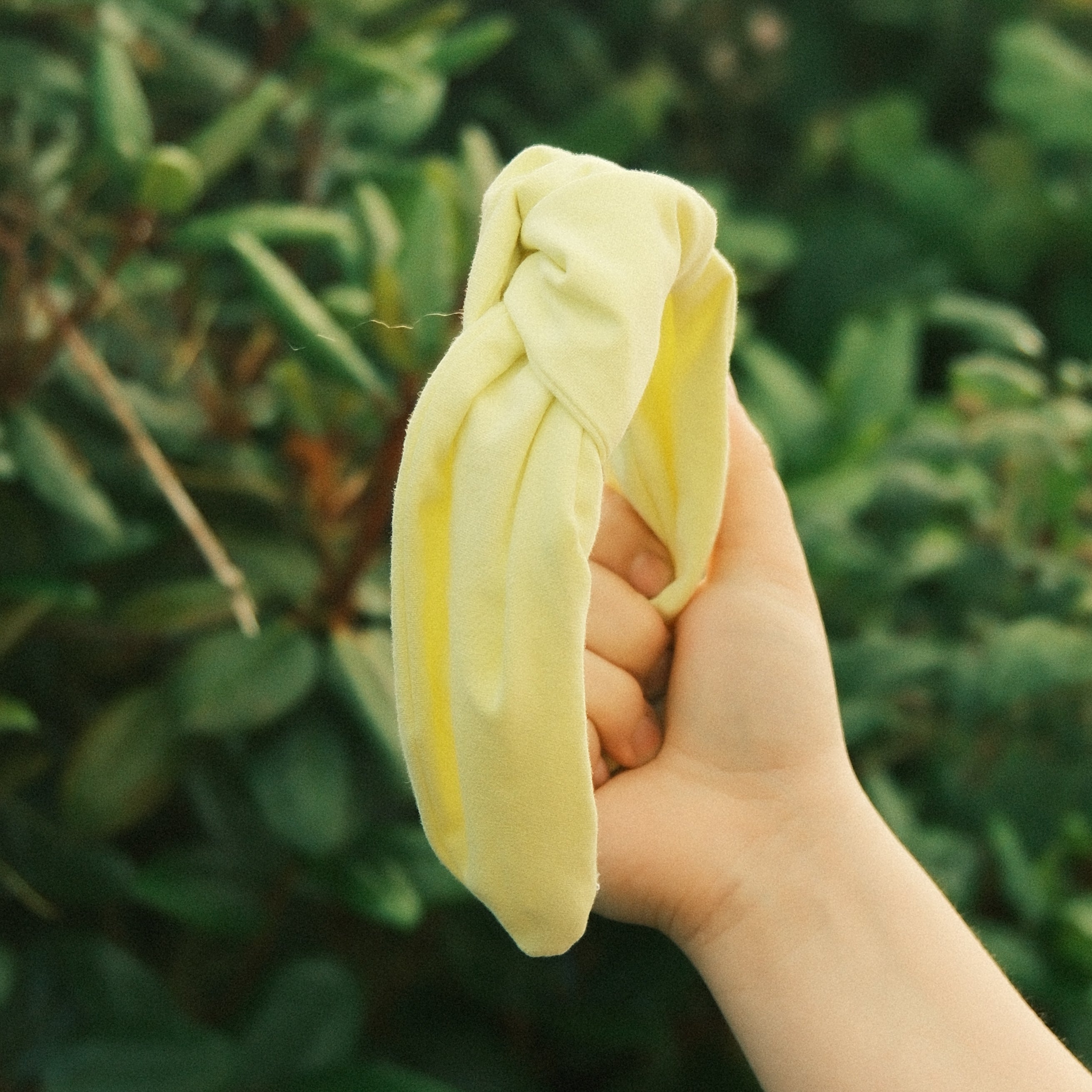 Frieda - Lemon