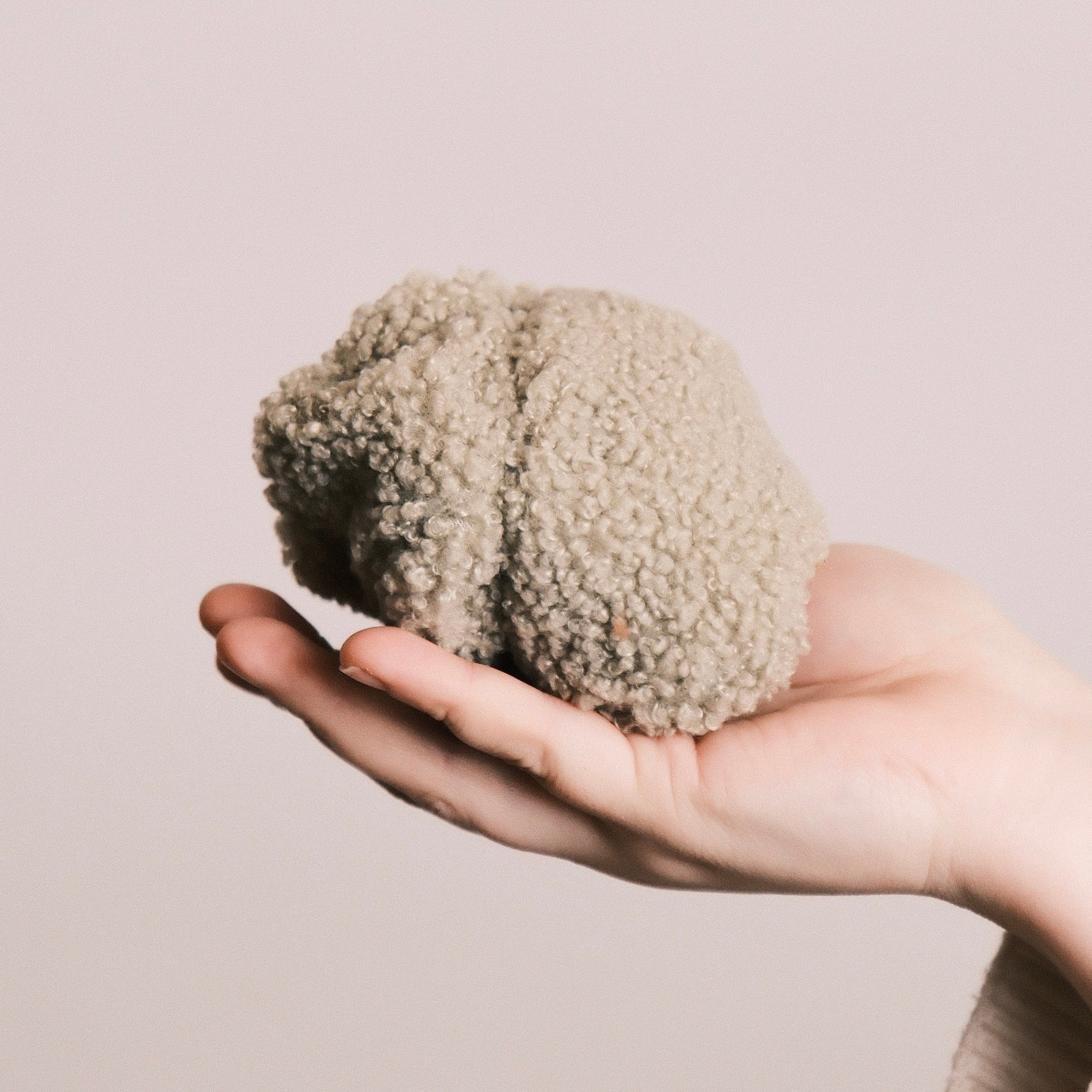 Dutti - Teddy Pistazie