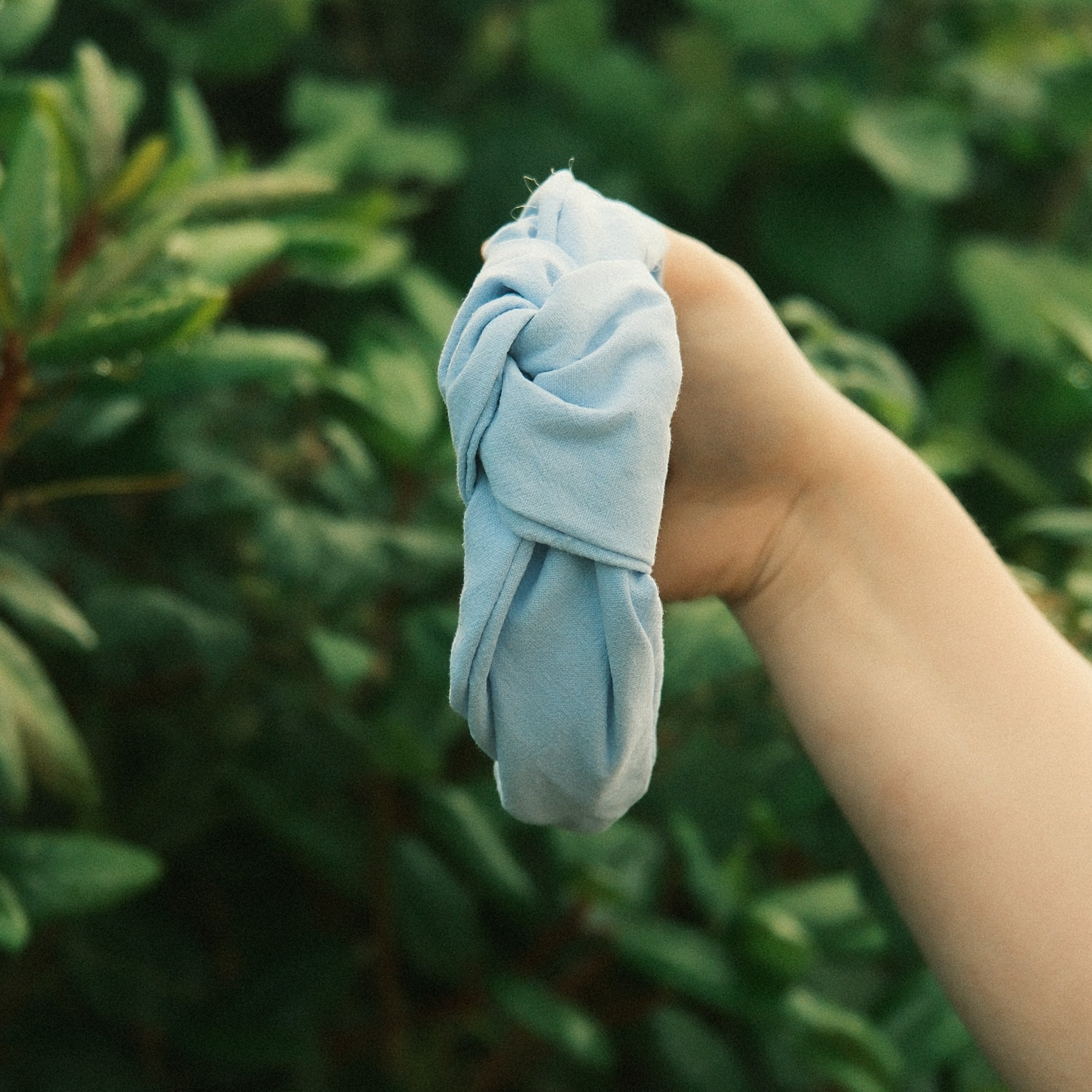 Frieda - Babyblue